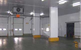 ESTANCIAS DE ALSINA S.A.