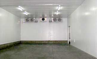 ESTANCIAS DE ALSINA S.A.