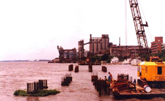 La Plata Creal S.A. Andre Group